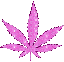 :pinkmarijuana: